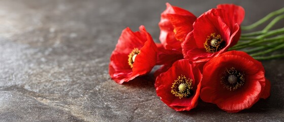 Naklejka premium Rememberance day background with red poppy flowers on dark stone texture, suitable for text and messages
