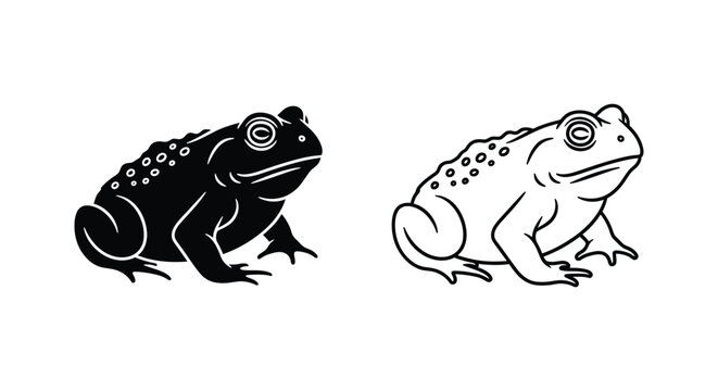 Toad Illustration: Cute Amphibian Art Design Vector