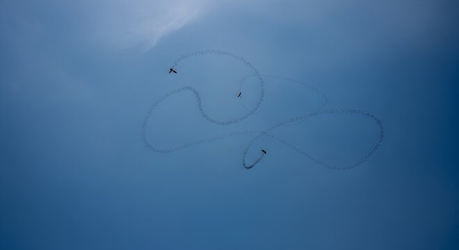 Airplanes performing aerobatic maneuvers in a clear blue sky, leaving smoke trails