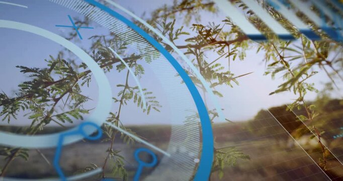 Close-up thorny branch initiating 3D rings growing rotating, grid emerging nodes forming interface