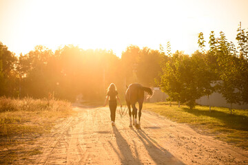 Woman leading horse down dirt road at sunset, back view of friendship and trust concept, equestrian lifestyle and equine therapy, summer golden hour in countryside, freedom and serene journey © GRON777