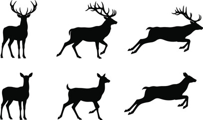 Fototapeta premium Deer silhouette collection featuring stag with antlers and doe shapes in various poses like running and standing isolated on white background for forest nature wilcts