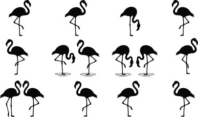 Flamingo silhouette collection featuring elegant pink exotic birds standing and wading in water in various graceful poses isolated on white background for  © MdRasel
