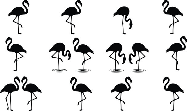 Flamingo silhouette collection featuring elegant pink exotic birds standing and wading in water in various graceful poses isolated on white background for 