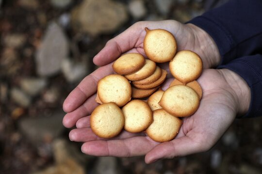 Catalan cookies pets de monja or paciencias. Confectionery of Catalonia. Assorted traditional cookies.