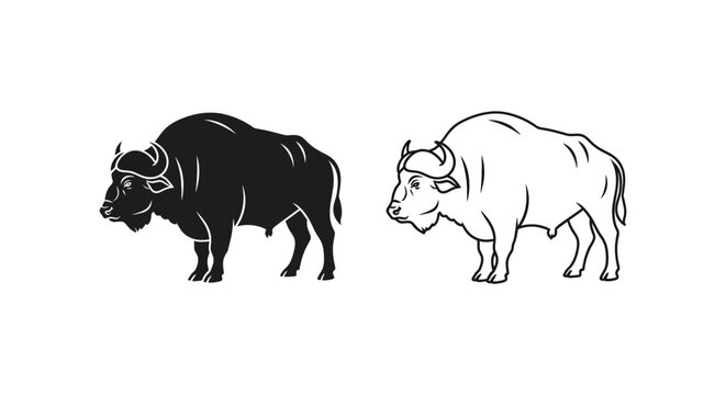 Water Buffalo Illustration: Black and White Art Vector