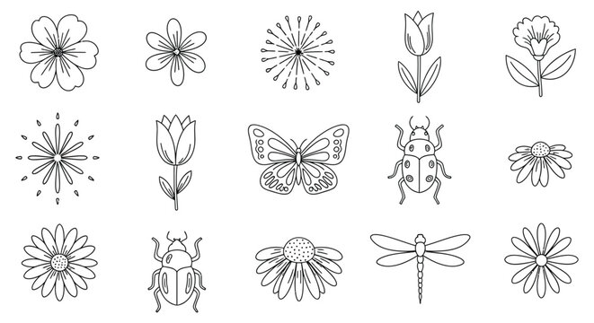 A collection of flowers, insects and bugs drawings isolated on white background, Vector, illustration
