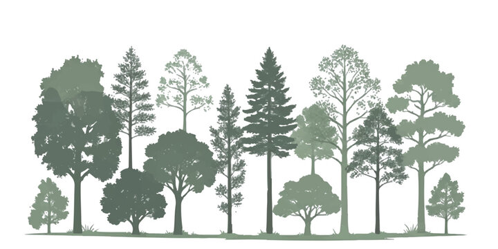 A collection of various tree species illustrated in a flat grey monochromatic silhouette style.