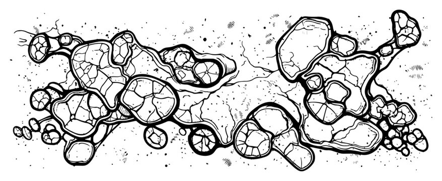 Cellular organic cluster with microscopic bacteria details in vintage engraving style