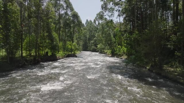 Aerial view of a river coursing through lush green trees, the water's white rapids contrast against the green foliage, Nyeri, Nyeri, Kenya.