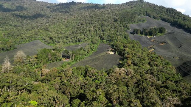 Drone shot moving parallel to Guatemalan plantations near Coban, Alta Verapaz, highlighting shade-grown crops next to dense forest.