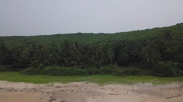 Drone rises from beach over dense palm groves and tropical forest, revealing rolling hills of Western Ghats under overcast sky in Malvan, Maharashtra.