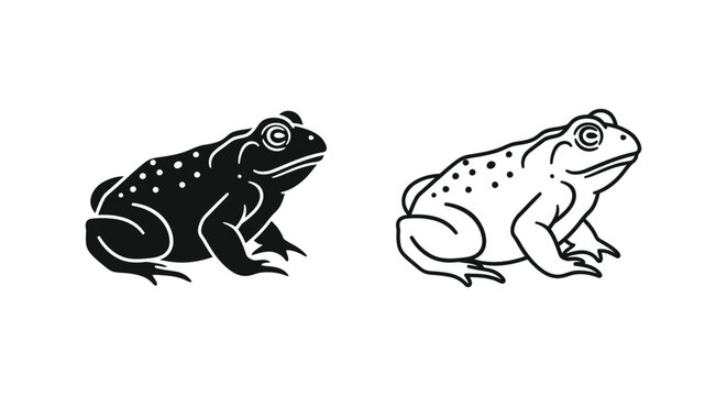 Toad Frog Illustration: Classic Amphibian Art Vector
