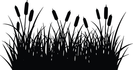 Cattails and tall grass silhouette vector illustration, wetland vegetation design, minimalistic black and white decorative nature artwork © MUSTARIN