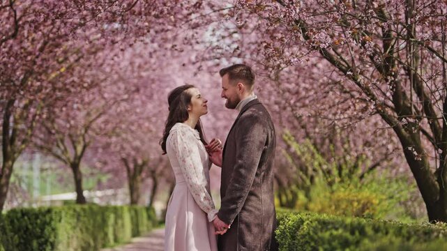 Romantic couple hugging under blooming cherry blossom trees in spring
