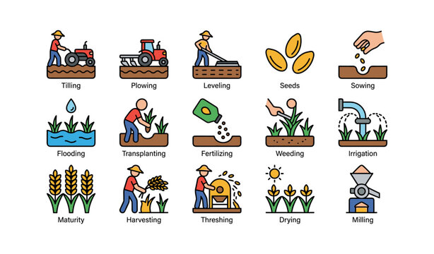 Farming process stages: tilling, sowing, harvesting, and milling illustrations
