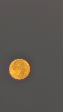 Vertical view of a large orange full moon rising in the dark evening sky. Cinematic supermoon or harvest moon glowing with warm golden light, astronomical astrology science background graphic asset.