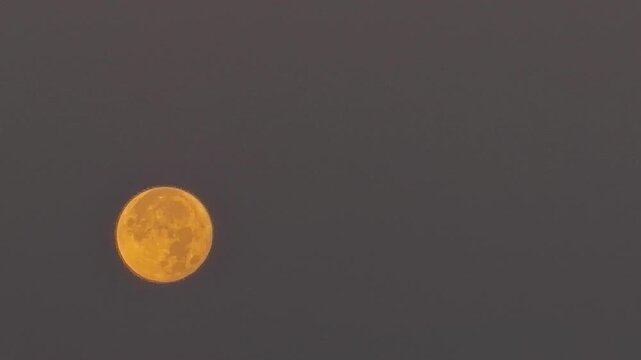 Large orange full moon rising in the dark evening sky. Cinematic supermoon or harvest moon glowing with warm light. Beautiful astronomical phenomenon and night sky background with celestial object.