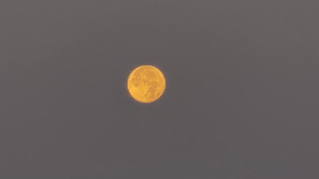 Large orange full moon rising in the dark evening sky. Cinematic supermoon or harvest moon glowing with warm light. Beautiful astronomical phenomenon and night sky background with celestial object.