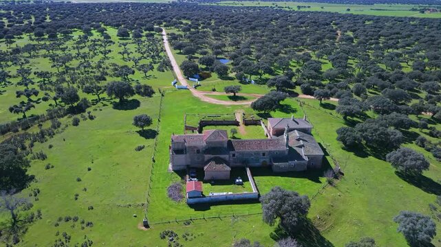 Aerial view from a drone of holm oak pastures near the Hermitage of Our Lady of Cueto. Campo Charro. Campo de Salamanca region. Salamanca. Castile and Le&oacute;n. Spain. Europe