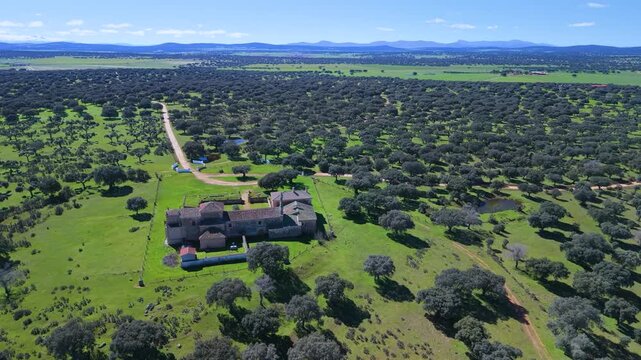 Aerial view from a drone of holm oak pastures near the Hermitage of Our Lady of Cueto. Campo Charro. Campo de Salamanca region. Salamanca. Castile and Le&oacute;n. Spain. Europe