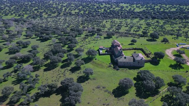 Aerial view from a drone of holm oak pastures near the Hermitage of Our Lady of Cueto. Campo Charro. Campo de Salamanca region. Salamanca. Castile and Le&oacute;n. Spain. Europe