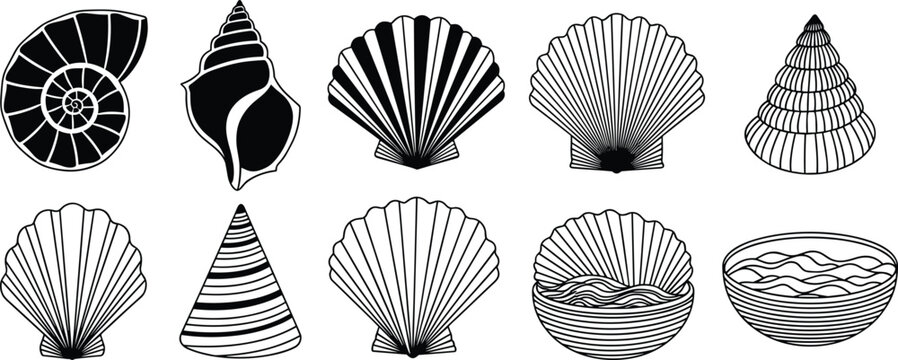 Seashell collection with spiral conch scallop and marine shells hand drawn outline vector illustration set isolated on white background