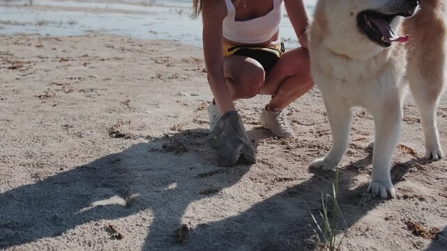 Young woman picking up her pet droppings with plastic bag near the sea