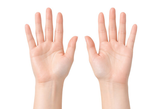 Open palms, human hands, both hands showing, clean skin, gesture, communication, body language isolated PNG with Transparent Background
