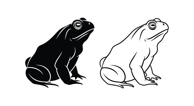 Black and White Toad Frog Illustrations Vector Art Vector