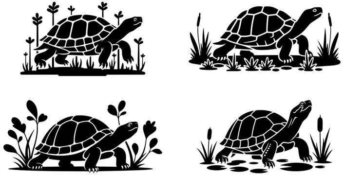 Turtles in their natural habitat with water and plants around