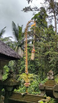 Traditional Balinese Penjor Bamboo Pole Decorated with Coconut Leaves for Galungan Festival in Bali Jungle Temple Background