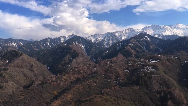 The beginning of spring blooming in the mountains. Talgar gorge. Ile-Alatau National Nature Park. The view from the drone.