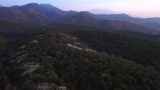 The beginning of spring blooming in the mountains. Talgar gorge. Ile-Alatau National Nature Park. The view from the drone.
