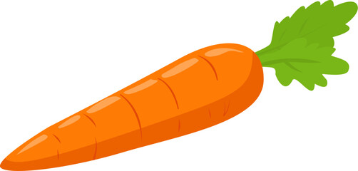 vector illustration of a carrot © Rootlayers