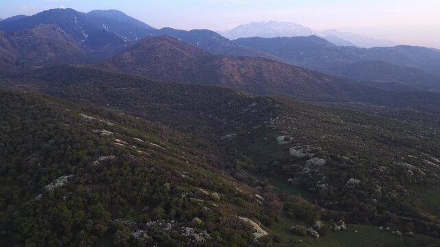 The beginning of spring blooming in the mountains. Talgar gorge. Ile-Alatau National Nature Park. The view from the drone.