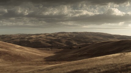 Fototapeta premium Golden rolling hills stretch to the horizon under a dramatic, cloud filled sky, warm brown grasses and open, tranquil fields evoking vast, peaceful rural solitude