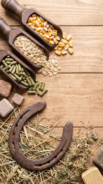 Top view of horse care supplies on a wooden background. Rusty horseshoe, hay, corn, oats, and herbal supplements. Natural equestrian equipment and feeding concept for farm animals.