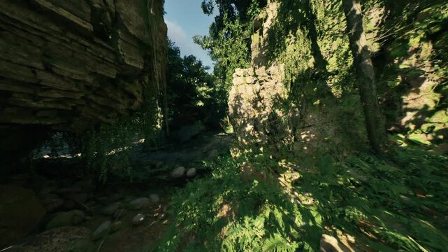 Sunlit narrow canyon trail lined with exposed roots and scattered stones, dense canopy overhead and rugged passage ideal for hiking and nature trek