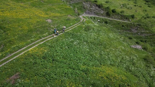 view from drone mountain path for hiking and walking in nature - tourists with dog walking in amazing natural landscape -  mountain trekking with your family and pet - relax and experiencMONTAGNA DIMA