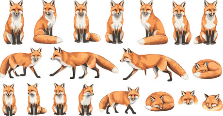 Fototapeta premium Cute Cartoon Fox Poses Collection, Vector Illustration of Fox Characters in Various Positions for Wildlife Art and Animal Design