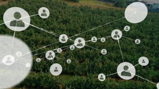 Animating network connections over agricultural field with trees