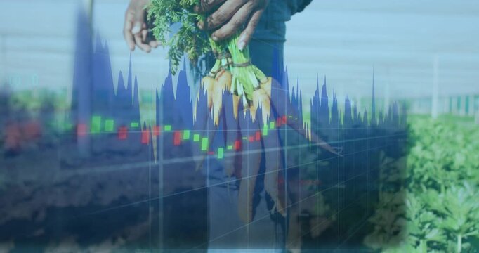 Farmer standing holding carrots on farm as candlesticks overlaying scene showing market trends