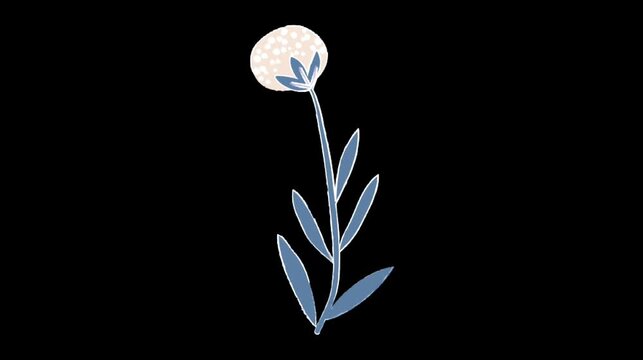 minimal single flower with leaves on black background simple elegant botanical animation loop calm scene