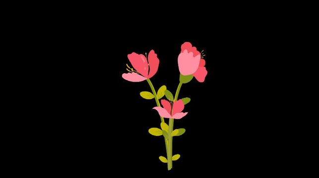 pink flowers on green stem gently on black background simple floral animation loop calm decorative scene