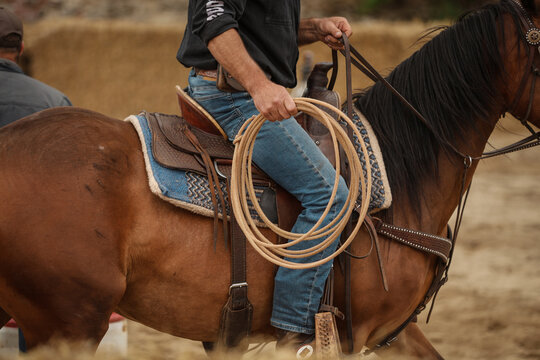 Cowboy on a horse with a rope
