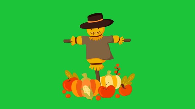cartoon scarecrow with pumpkins on green background simple flat autumn harvest animation loop farm concept
