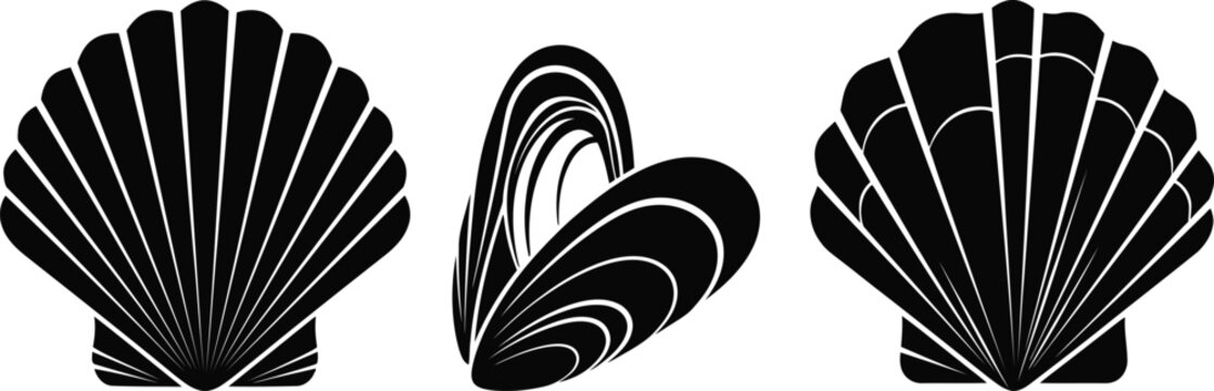 Set of black silhouettes of different sea shells isolated on white background