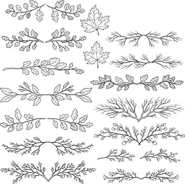 Autumn Leaf and Branch Dividers