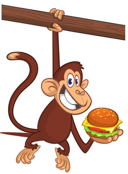 Cartoon funny monkey chimpanzee holding hamburger or cheeseburger in his hands. Vector illustration of happy monkey character design isolated.